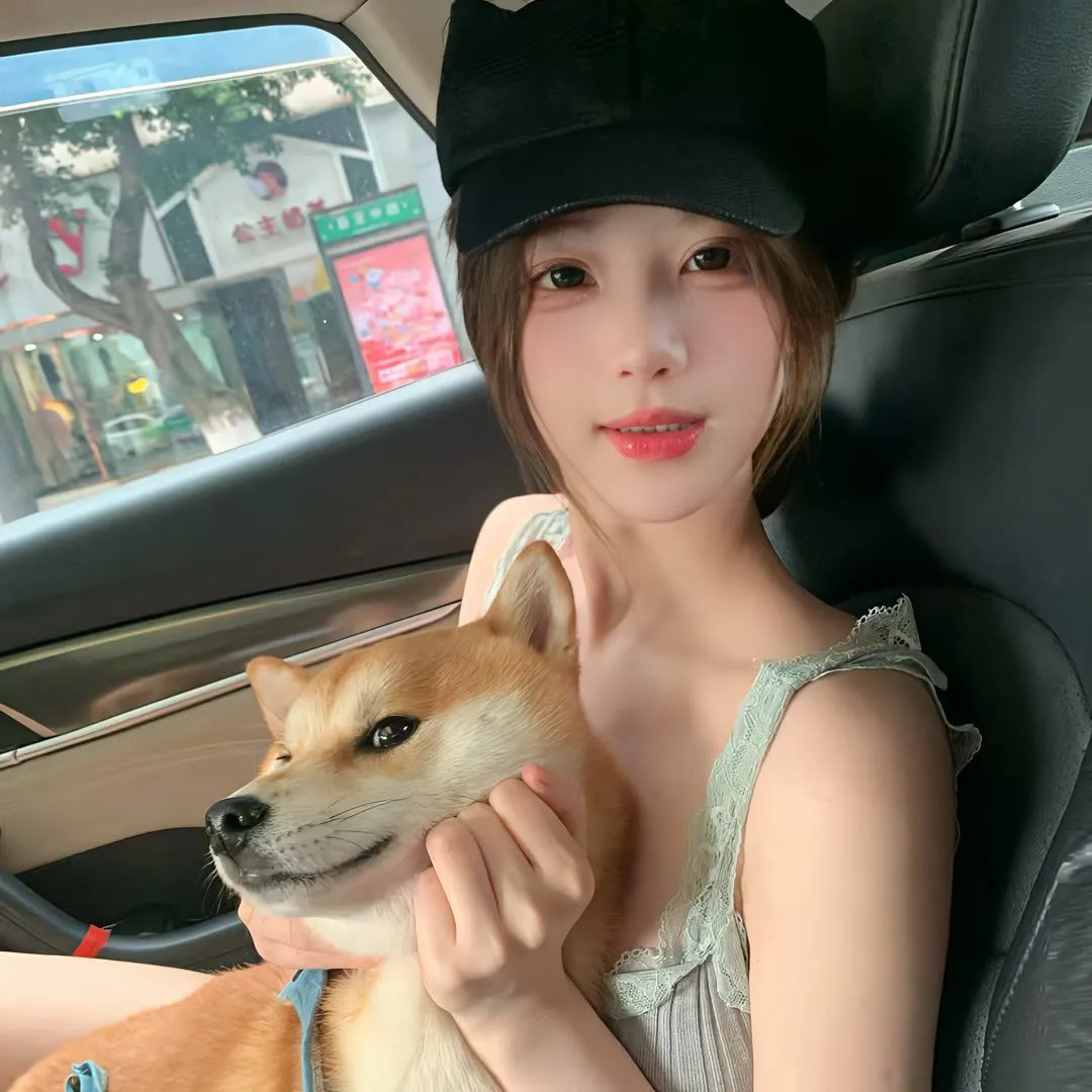 伪装者